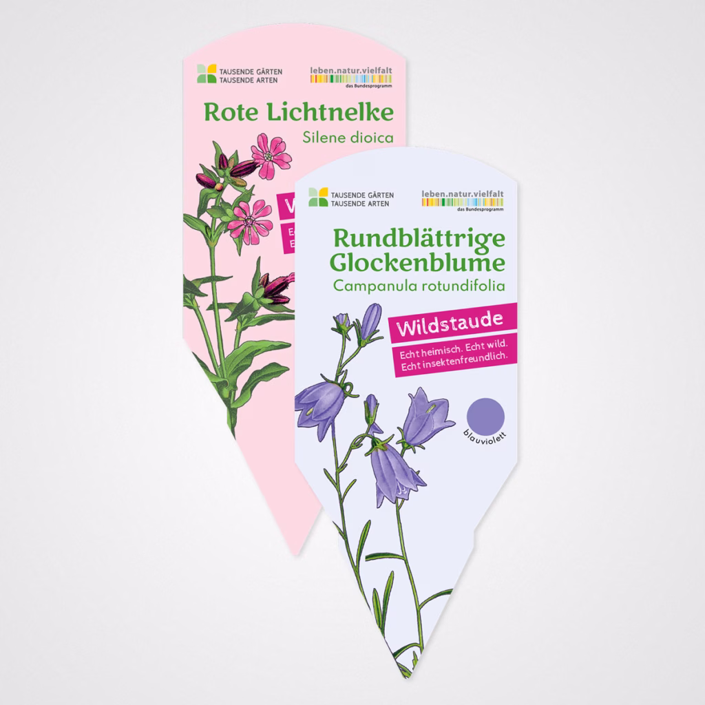 Verlinkt auf Projekt